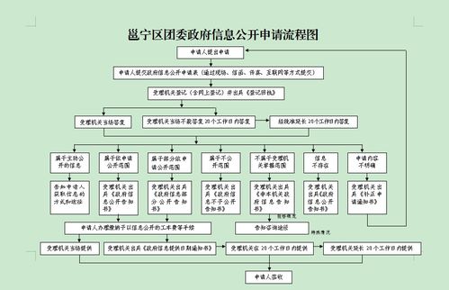 邕宁区团委政府信息公开申请流程图与信息系统集成服务解析